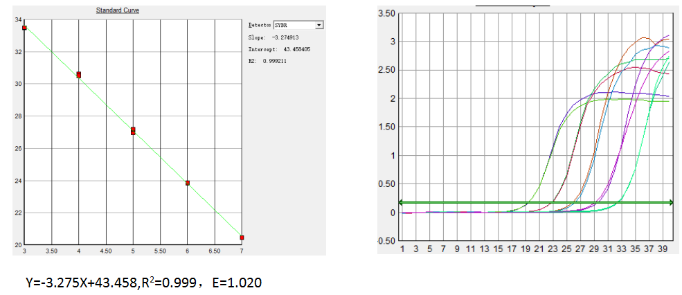 2×SYBR Green PCR Mix的标准曲线图（图1、图2）