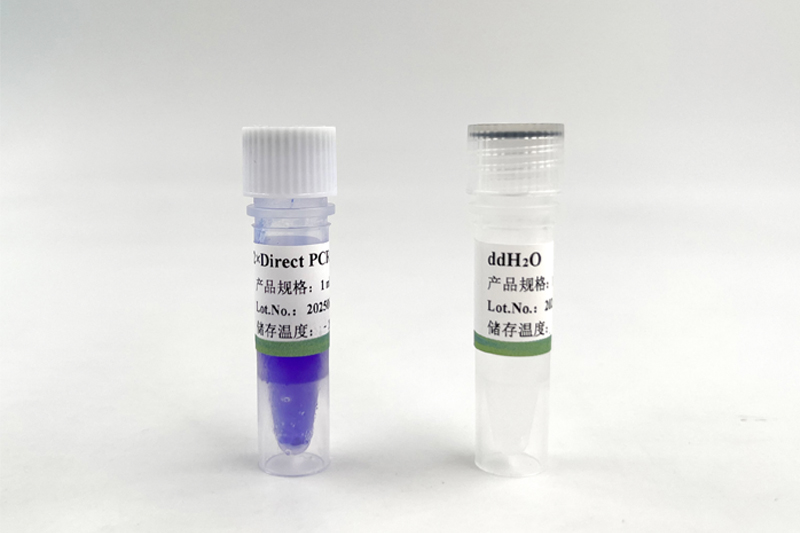 2×Direct PCR Mix,对于PCR乙醇、血红素等抑制物有更好的耐受性，同时扩增速度可以达到15 sec/kb。,7011001/ ...