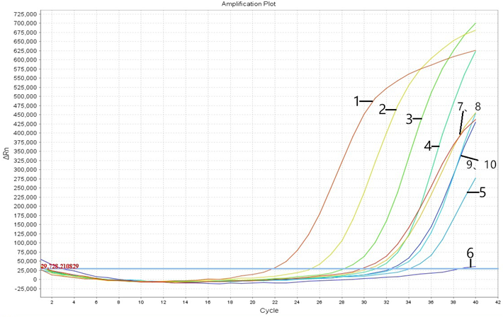 simgen-肝素钠DNA纯化试剂盒-猪源性DNA荧光PCR检测试剂盒-荧光定量PCR扩增曲线