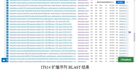 simgen-2×PCR Mix-植物/真菌DNA试剂盒-ITS14扩增序列 BLAST结果