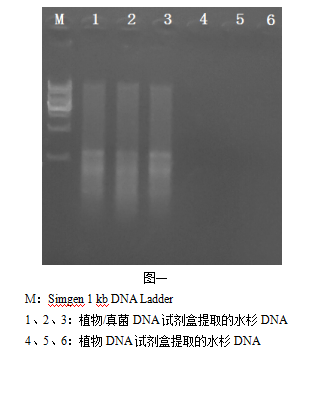 simgen-植物DNA试剂盒-植物/真菌DNA试剂盒-电泳图一