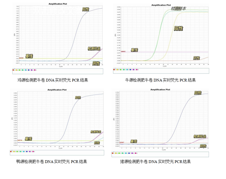 simgen-动物组织DNA试剂盒-鸡源性DNA荧光PCR检测试剂盒-鸭源性DNA荧光PCR检测试剂盒-猪源性DNA荧光PCR检测试剂盒-Sim-100超微量分光光度计-荧光PCR扩增结果