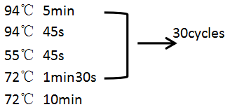 simgen-全血DNA小量试剂盒-反应条件