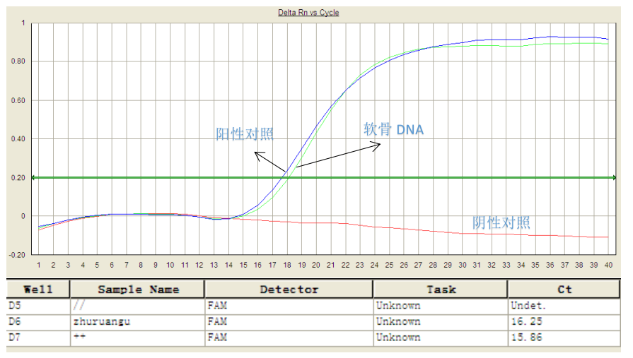 simgen-软骨DNA纯化试剂盒-荧光定量PCR猪源性检测结果