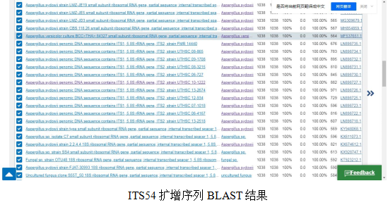 simgen-2×PCR Mix-植物/真菌DNA试剂盒-ITS54扩增序列 BLAST结果